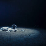 ToKillAMongolianHorse_PicWeb_RGB_3000x2000px_150dpi10