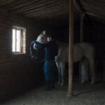 ToKillAMongolianHorse_PicWeb_RGB_3000x2000px_150dpi14