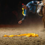 ToKillAMongolianHorse_PicWeb_RGB_3000x2000px_150dpi3