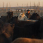 ToKillAMongolianHorse_PicWeb_RGB_3000x2000px_150dpi6