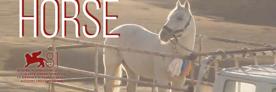 To Kill a Mongolian Horse